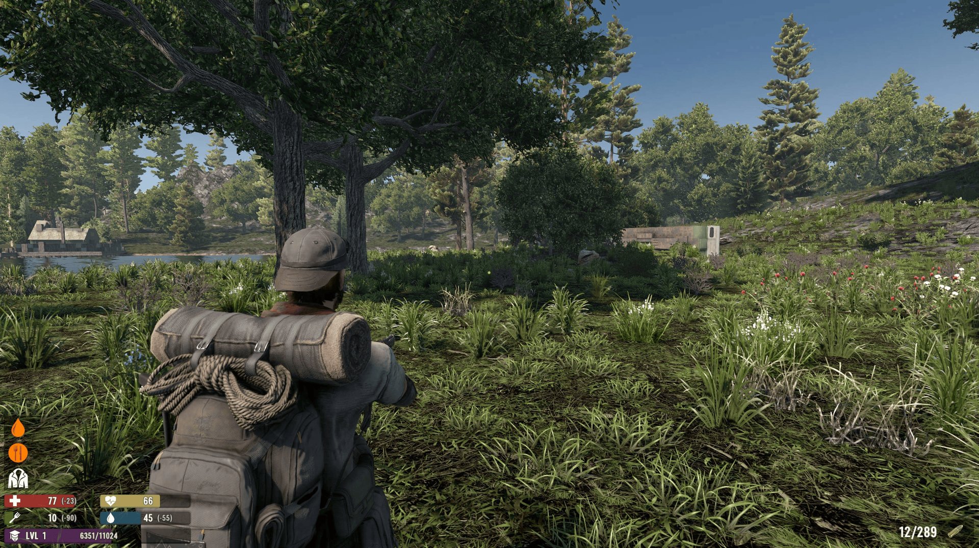 饥荒 年度版 截图4