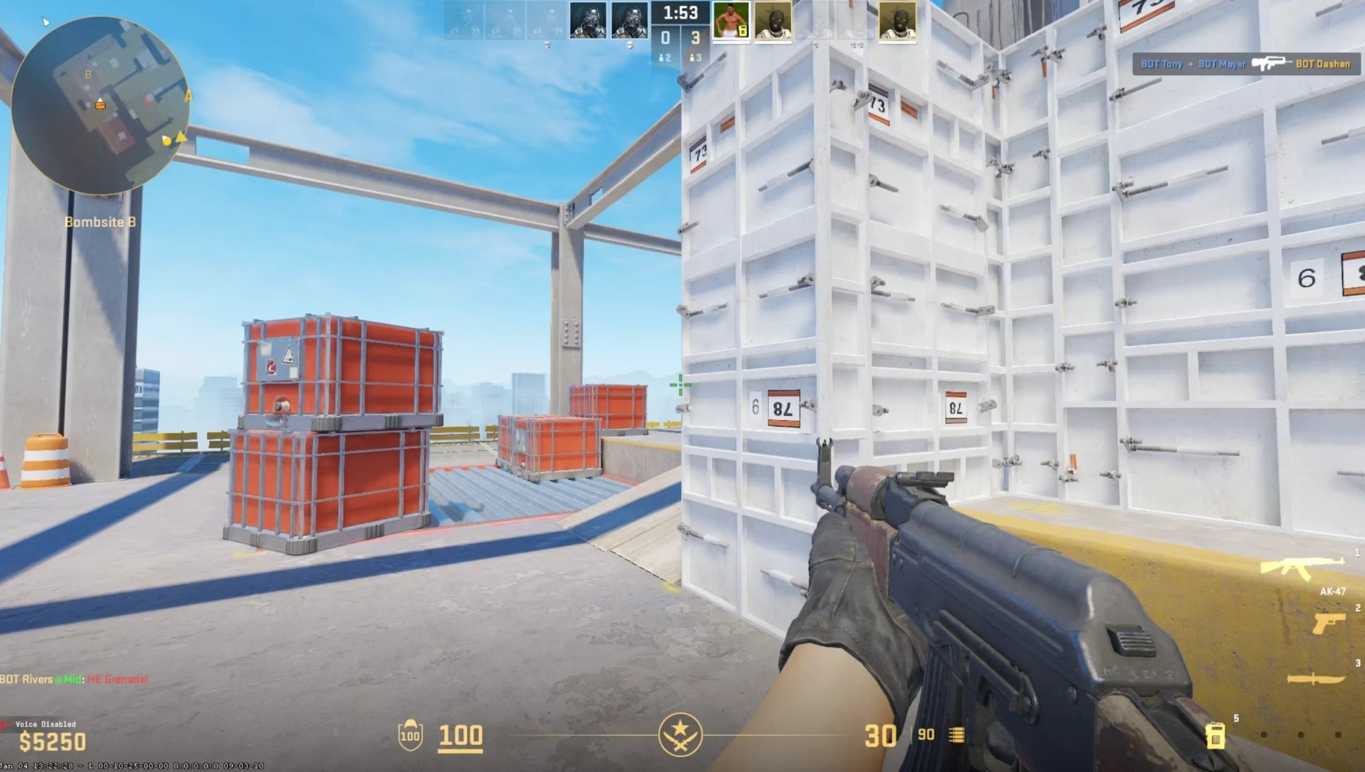 饥荒 年度版 截图11